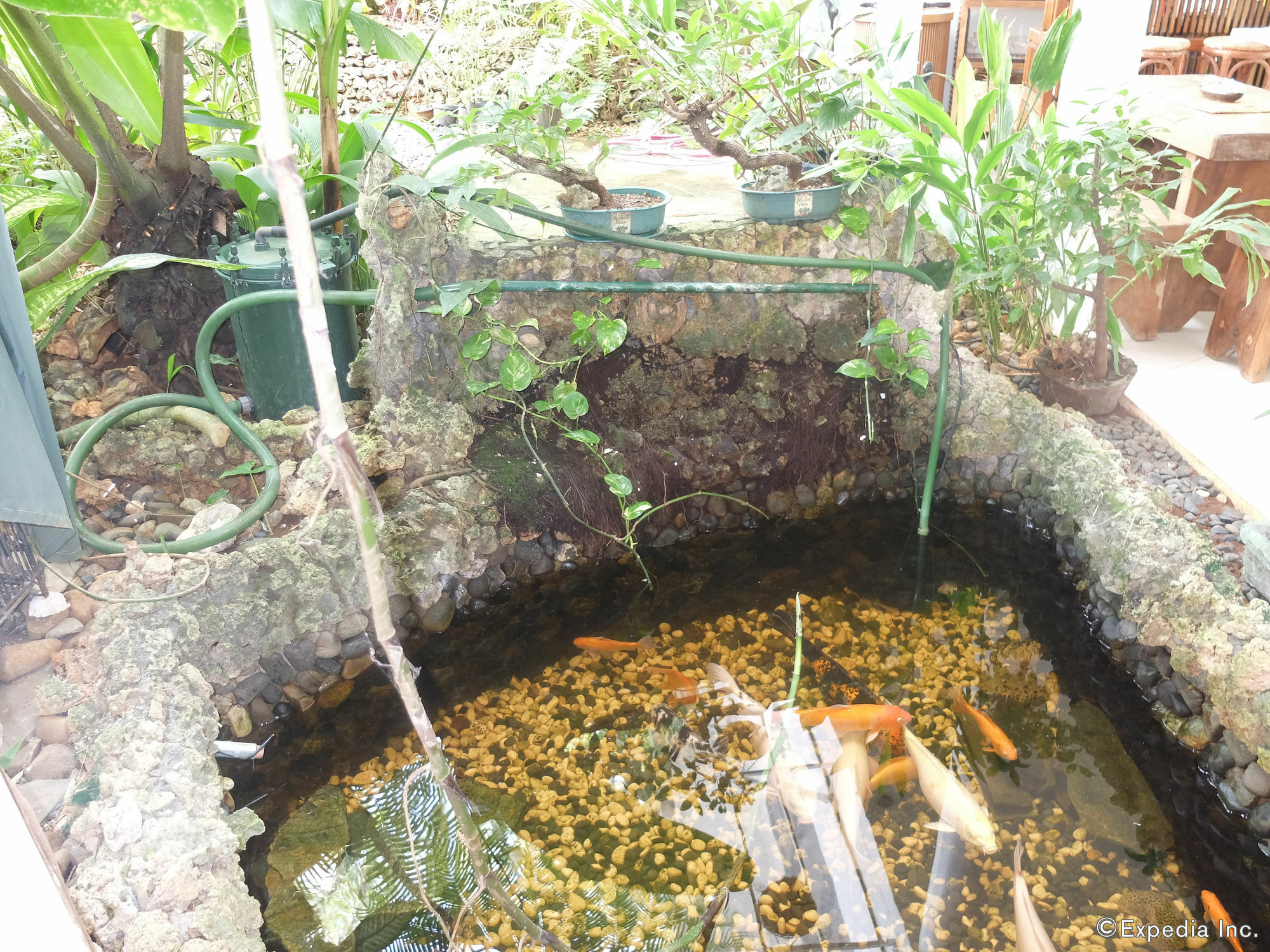 Argonauta Apartment Suites Yapak ภายนอก รูปภาพ